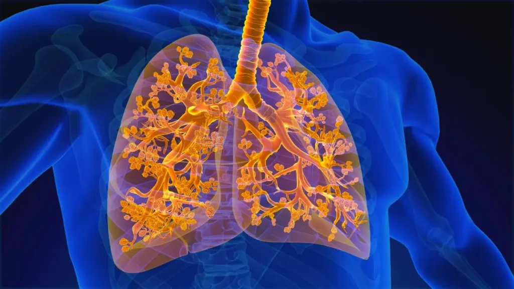 A Importância da Saúde Respiratória para a Qualidade de Vida