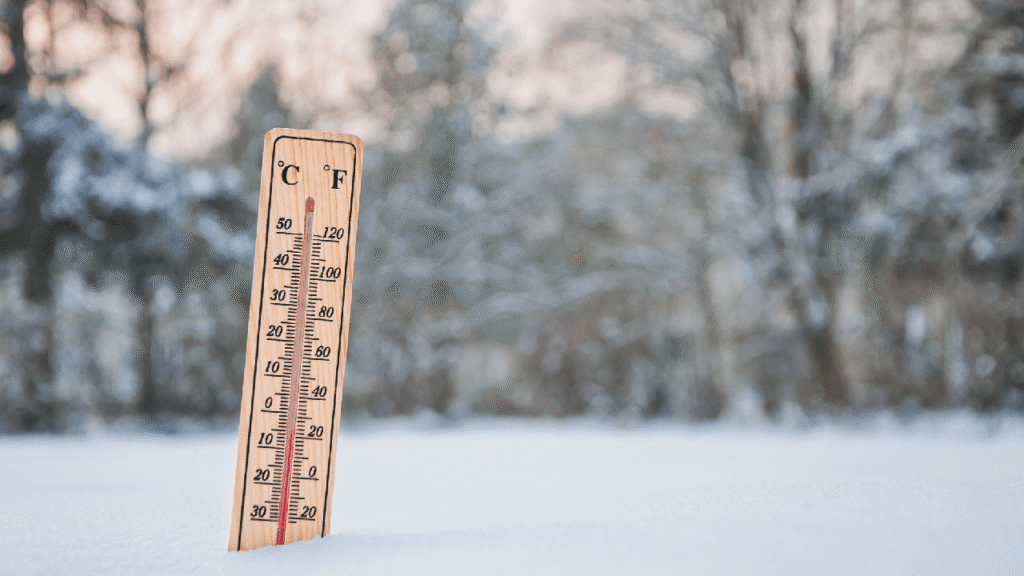Descubra como aquecer sua casa e garantir conforto no frio