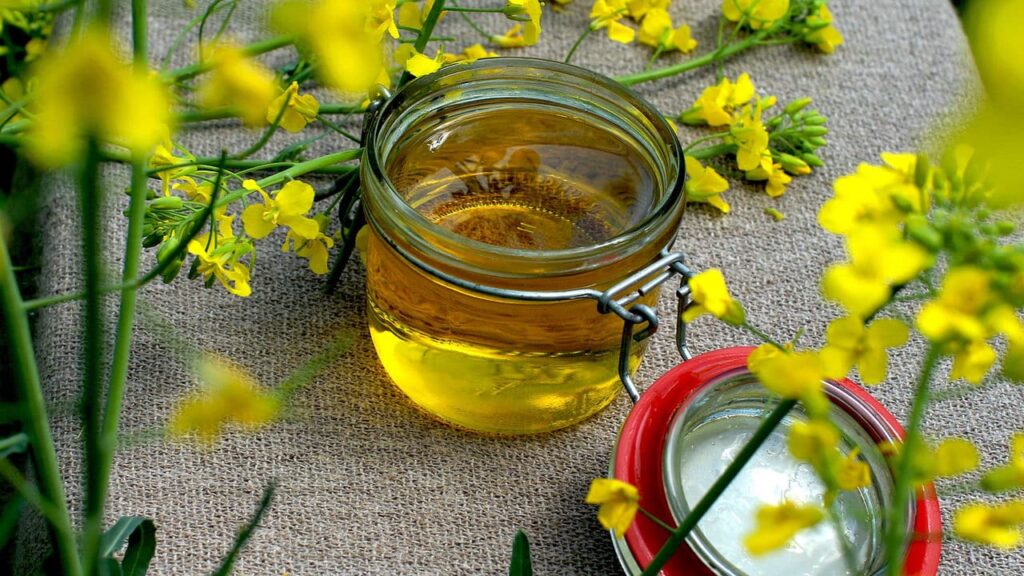 Descubra o óleo vegetal saudável que transformará sua cozinha