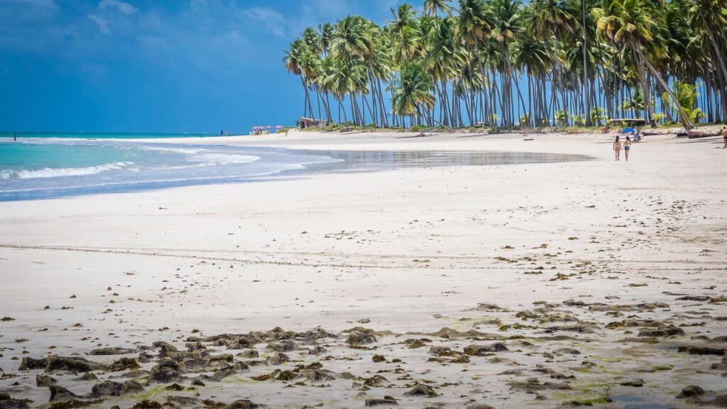 Descubra a praia imperdível do nordeste em 2025!