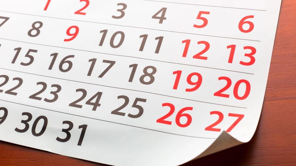 Feriado especial na próxima segunda-feira: confira as atrações!