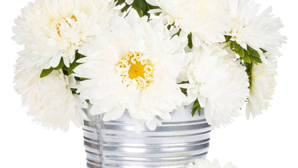 Transforme latas em vasos personalizados e dê vida à sua decoração!