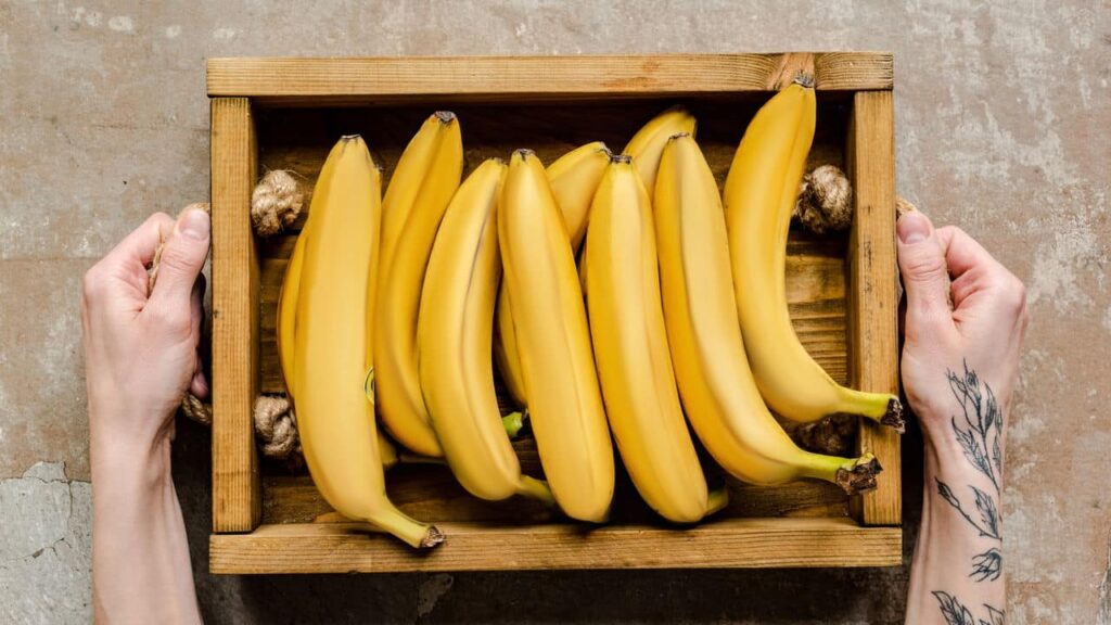 Como plantar banana em solo fértil e com a irrigação adequada -