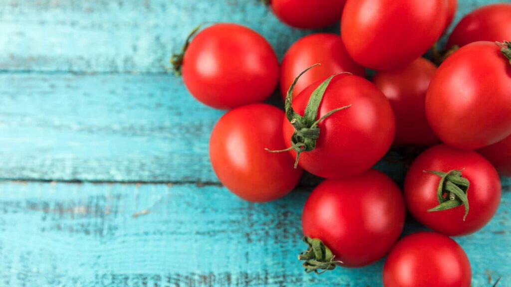 Método caseiro para fortalecer e aumentar a saúde dos tomates -