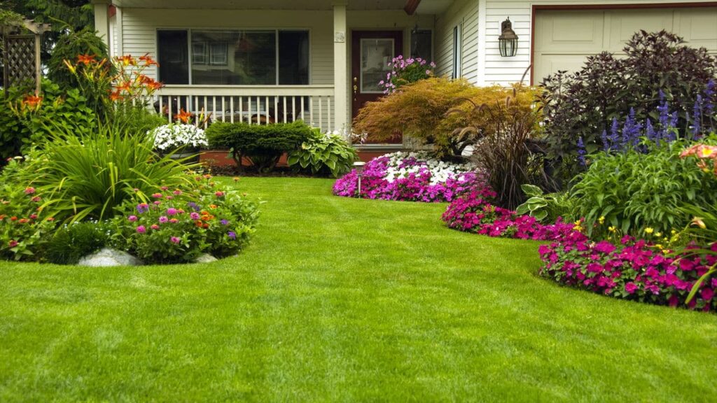 A nova tendência de jardinagem que atrai até quem não planta -