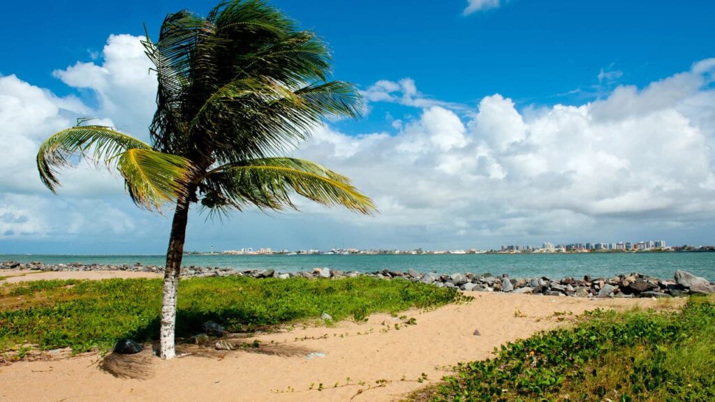Praias escondidas e bonitas do Nordeste brasileiro -