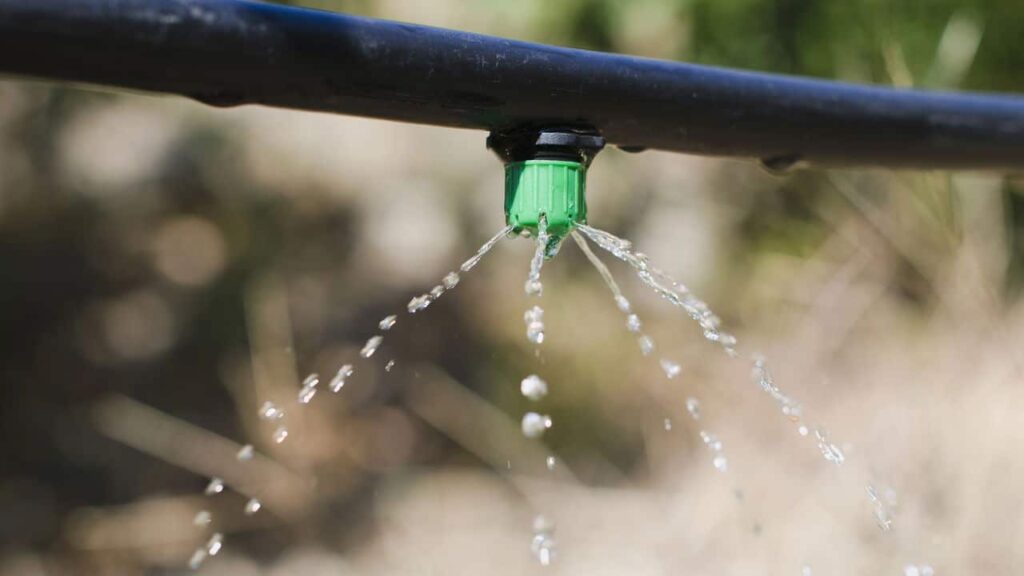 Como Montar Uma Irrigação Econômica Para O Seu Jardim -