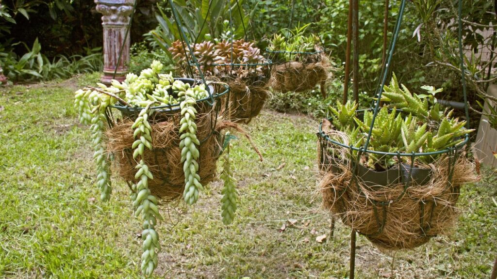 Como Fazer Um Vaso De Plantas Com Arame E Pedras Passo A Passo -