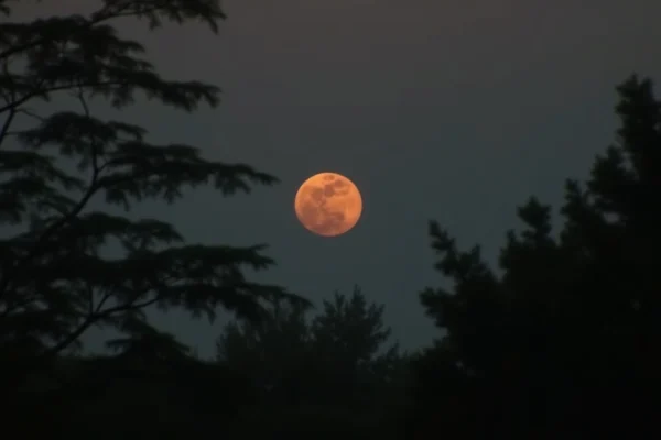 Lua Cheia das Flores: fenômeno hoje