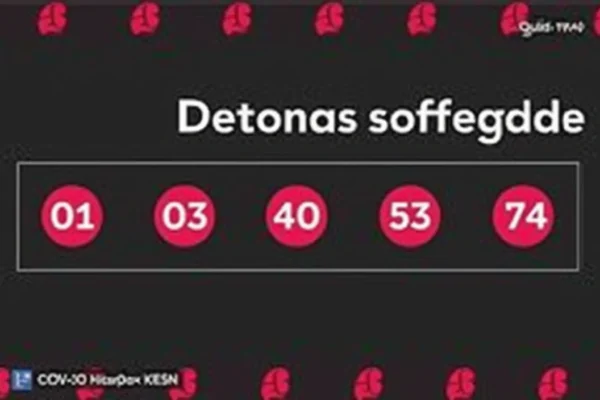 Quina 7044: resultados e números sorteados