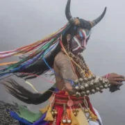 Bonito CineSur: 12 filmes na Mostra Ambiental